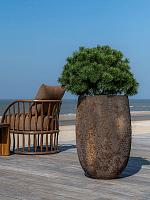 Кашпо Oyster belon l imperial brown D50 H75 см