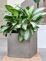 Кашпо Grigio cube natural concrete L40 W40 H40 см