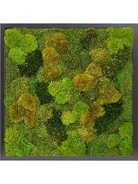 Картина из мха mdf ral 9005 satin gloss 20% flat and 80% exclusive moss (mix)