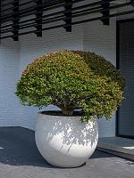 Кашпо Urban jumbo orb m ivory washed D111 H91 см