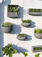 Кашпо настенное Natural wally balcony low xs grey L40 W15 H9 см