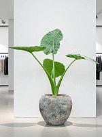 Кашпо Baq sandora balloon green D54 H50 см