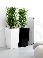 Кашпо Baq ecoline phoenix regular kubis L30 W30 H56 см