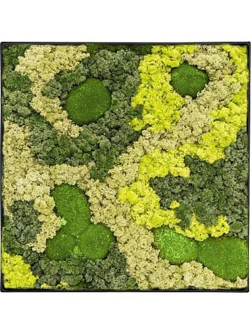 Картина из мха nova frame anthracite-concrete 30% ball moss 70% reindeer moss (mix) Картина из мха nova frame anthracite-concrete 30% ball moss 70% reindeer moss (mix)