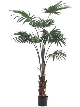 Пальма Ливистона искусственная