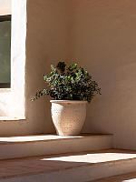 Кашпо Mediterranean poseidon s chalk white D42 H38 см