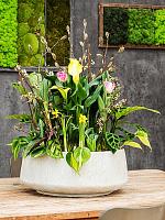 Кашпо Baq raindrop bowl beige D44 H19 см