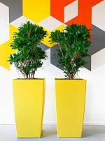 Кашпо Baq ecoline phoenix regular kubis L41 W41 H76 см