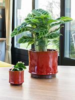 Кашпо Nolan pot red D7 H7 см