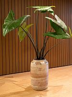 Ваза Rocky pot tall latte D28 H50 см