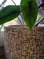 Кашпо Maxim pot shiny sand D18 H15 см