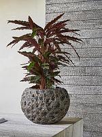 Кашпо Baq luxe lite universe moon globe bronze D28 H20 см Кашпо Baq luxe lite universe moon globe bronze D28 H20 см