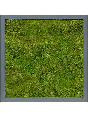 Картина из мха mdf ral 7016 satin gloss 100% flat moss Картина из мха mdf ral 7016 satin gloss 100% flat moss