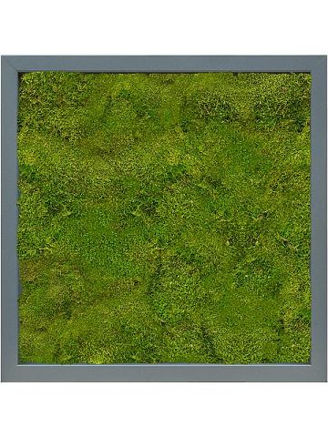 Картина из мха mdf ral 7016 satin gloss 100% flat moss Картина из мха mdf ral 7016 satin gloss 100% flat moss