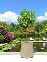 Кашпо Baq dune darcy beige D49 H55 см