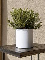 Кашпо Fiberstone puk s matt white D15 H15 см Кашпо Fiberstone puk s matt white D15 H15 см
