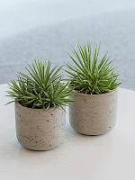 Кашпо Rough mini charlie xxs grey washed D10 H10 см