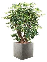 Кашпо Grigio cube natural concrete L40 W40 H40 см