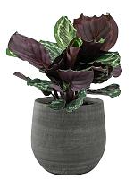 Кашпо Esra pot mystic grey D26 H26 см