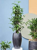 Кашпо Baq raindrop emperor anthracite D37 H60 см