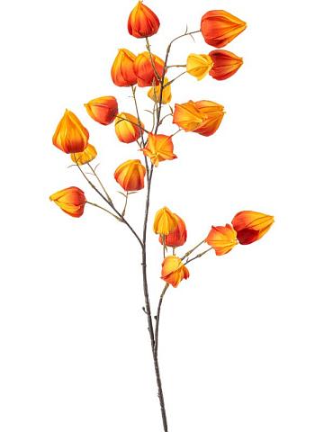 Физалис оранжевый искусственный Физалис оранжевый искусственный