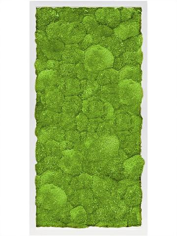 Картина из мха mdf ral 9010 satin gloss 100% ball moss Картина из мха mdf ral 9010 satin gloss 100% ball moss