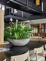 Кашпо Baq polystone plain boat grey L46 W20 H13 см