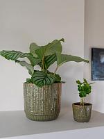 Кашпо Cille pot forest D21 H20 см