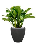 Кашпо Baq polystone plain couple smoke (с техническим горшком) D40 H40 см