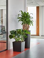 Кашпо Baq ecoline rise structure kubis L41 W41 H75 см