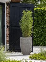 Кашпо Mountain hayes l dioriet grey D52 H75 см