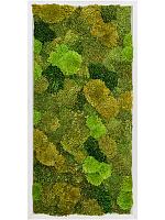 Картина из мха aluminium 20% flat and 80% exclusive moss (mix) L120 W60 H6 см