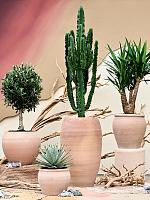 Кашпо Terra antica roma chalk white D42 H33 см Кашпо Terra antica roma chalk white D42 H33 см