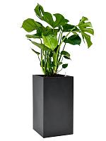 Кашпо Baq basic square dark grey (mit einsatz) L31 W31 H56 см