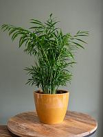 Кашпо Sven pot mustard D18 H16 см