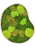 Картина из мха organic frame #1 sand mos (mix) L40 W35 H5 см