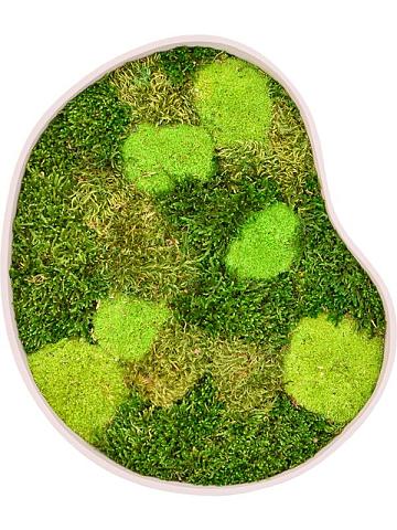 Картина из мха organic frame #1 sand mos (mix)