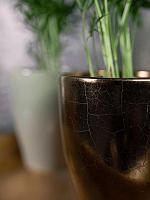 Кашпо Sven pot gold D16 H13 см