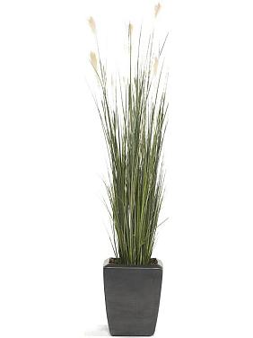 Трава Пампасная искусственная (без горшка)