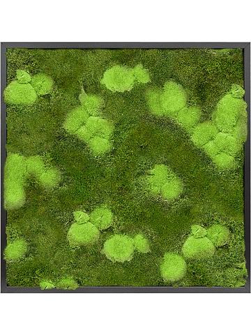 Картина из мха mdf ral 9005 satin gloss 30% ball- and 70% flat moss Картина из мха mdf ral 9005 satin gloss 30% ball- and 70% flat moss