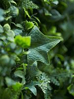 Панель из искусственной садовой травы L50 W50 см