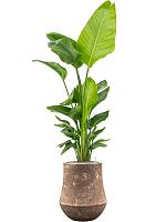 Кашпо Baq polystone coated plain darcy rock D47 H57 см