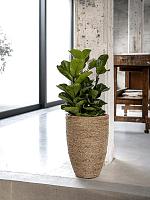 Кашпо Bohemian ben xl straw grass D52 H72 см Кашпо Bohemian ben xl straw grass D52 H72 см