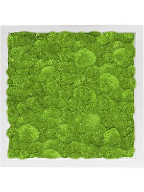 Картина из мха mdf ral 9010 satin gloss 100% ball moss Картина из мха mdf ral 9010 satin gloss 100% ball moss