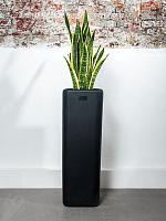 Кашпо Otium murus black L27 W27 H80 см