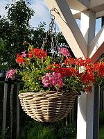 Кашпо подвесное Rattan hanging basket antique grey D30 H15 см Кашпо подвесное Rattan hanging basket antique grey D30 H15 см