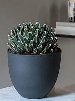 Кашпо Refined coral m volcano black D25 H21 см Кашпо Refined coral m volcano black D25 H21 см