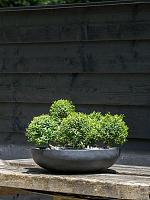 Кашпо Fiberstone monique l black D43 H12 см