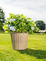 Кашпо Aria pot natural D36 H40 см Кашпо Aria pot natural D36 H40 см