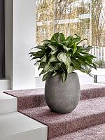 Кашпо Baq polystone coated plain balloon raw grey (с техническим горшком) D52 H68 см